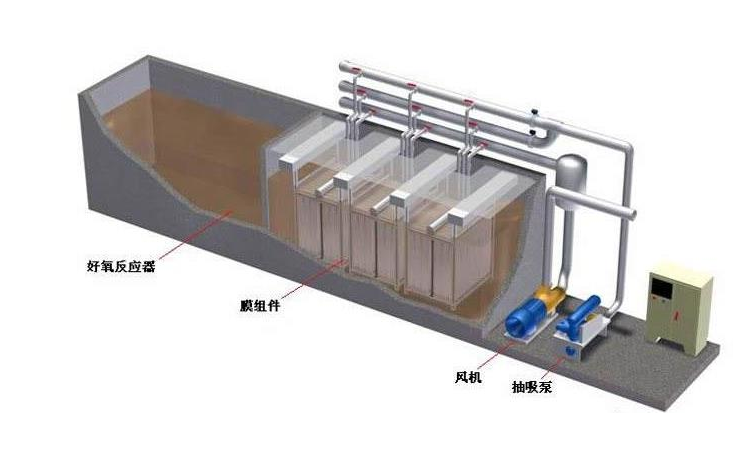 <b>ʽһ廯</b>